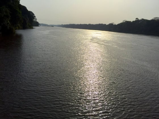Le fleuve Sangha